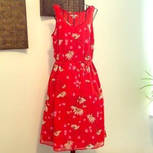 Isaac Mizrahi dress 👗